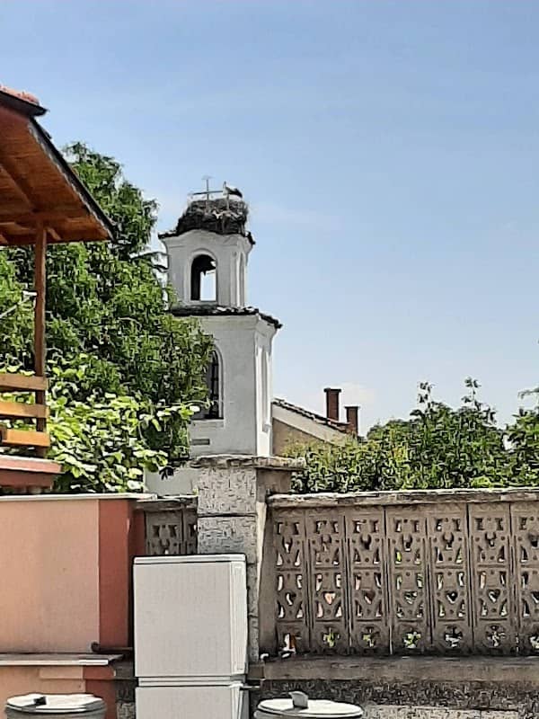 New Park - Image 2