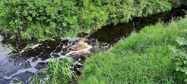 Osteeler Wasserfall - Image 1