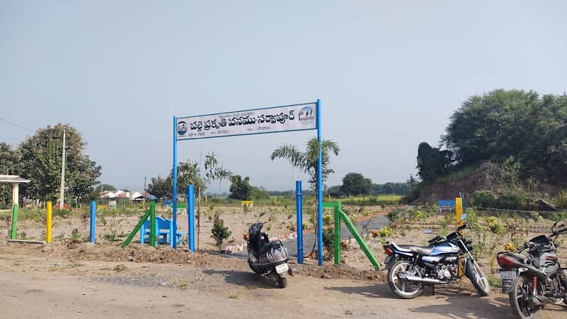 పల్లె ప్రకృతి వనం సర్వాపూర్ - Image 1