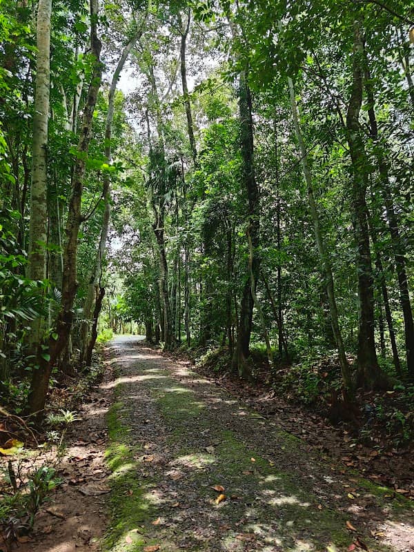 View point - Image 1