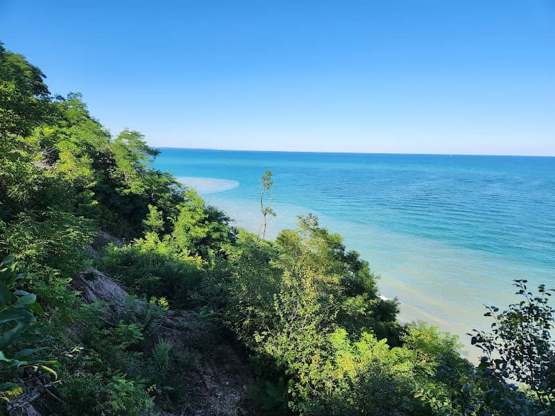 Virmond County Park - Image 1