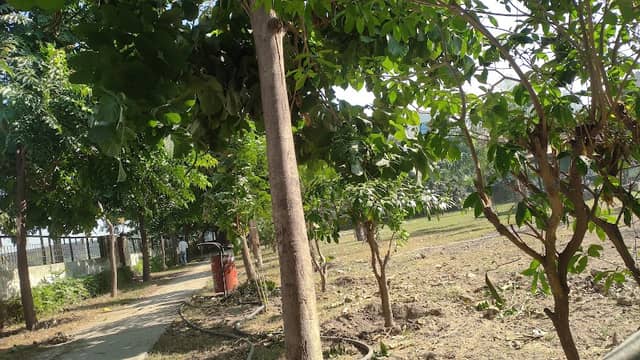 HUDA Park - Image 1