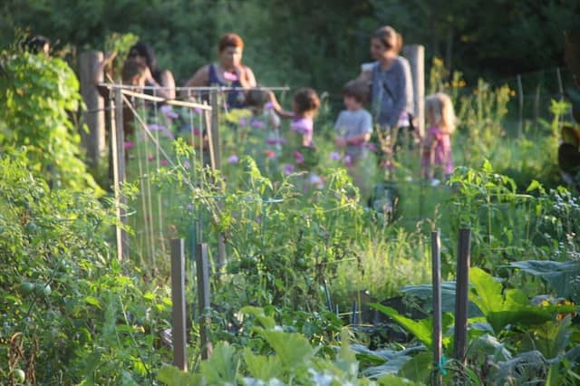 Westview Community Garden - Image 1