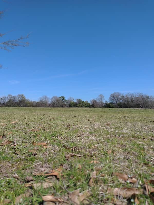 Ritchie Street Park - Image 2