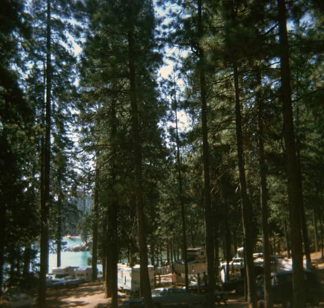 Pinepoint Picnic Site - Image 3