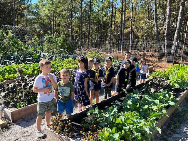 Greater Topsail Community Garden - Image 2