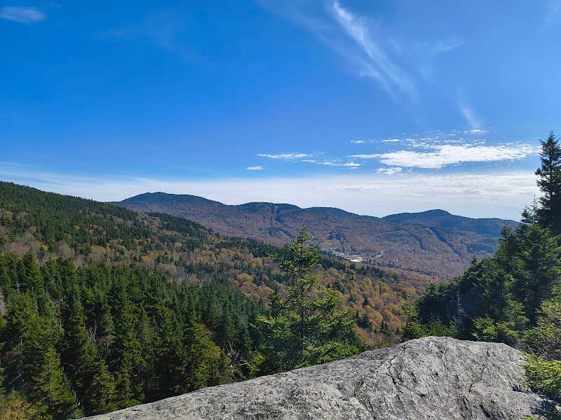 Harrington's View - Image 1