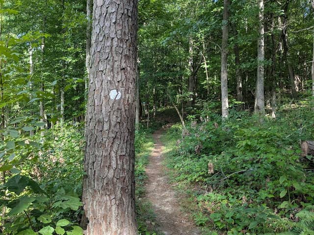 Falls Lake Trail (MST) - Image 1