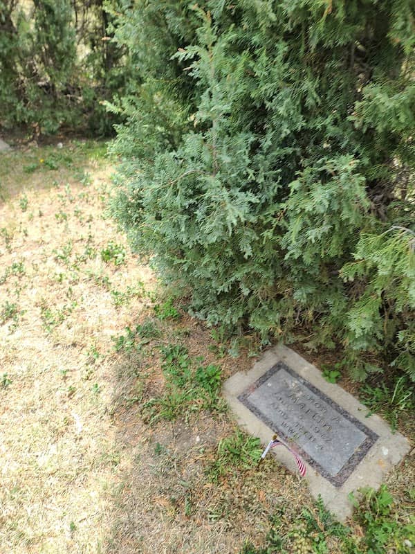 Veteran's Memorial Park - Image 1