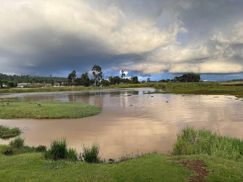 Hippopotamus Watching Point - Image 1