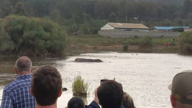 Hippopotamus Watching Point - Image 2