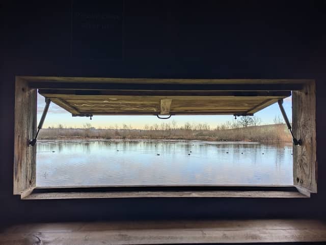 Bird Hide - Image 1