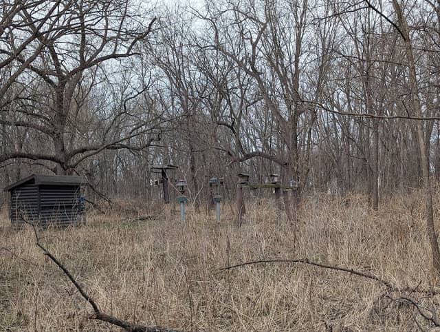 Walnut Woods Bird Observation Station - Image 2