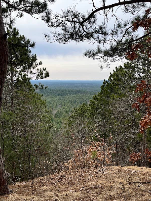 Black River State Forest - Image 3