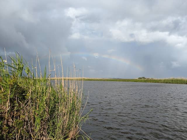 Escambia River State Wildlife Management Area - Image 2