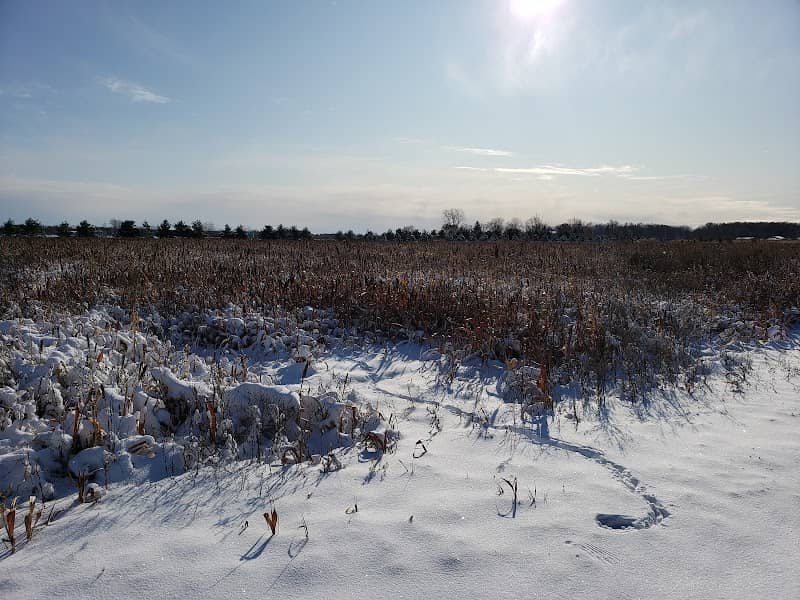 Dead End Pheasant Farm - Image 1