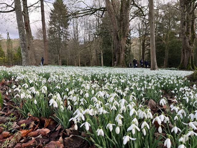Colesbourne Gardens - Image 1