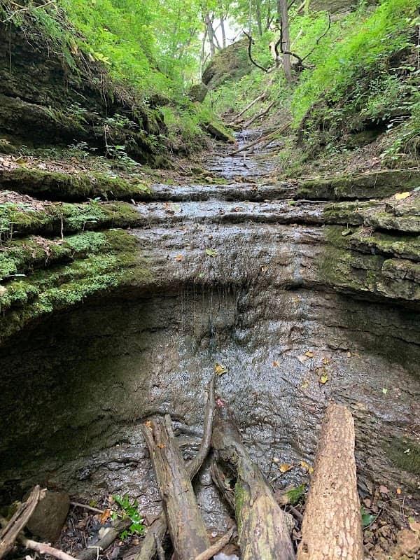 Kishwaukee Gorge North Forest Preserve - Image 1