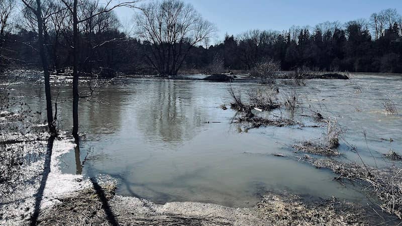 Grand River Floodplain - Image 1