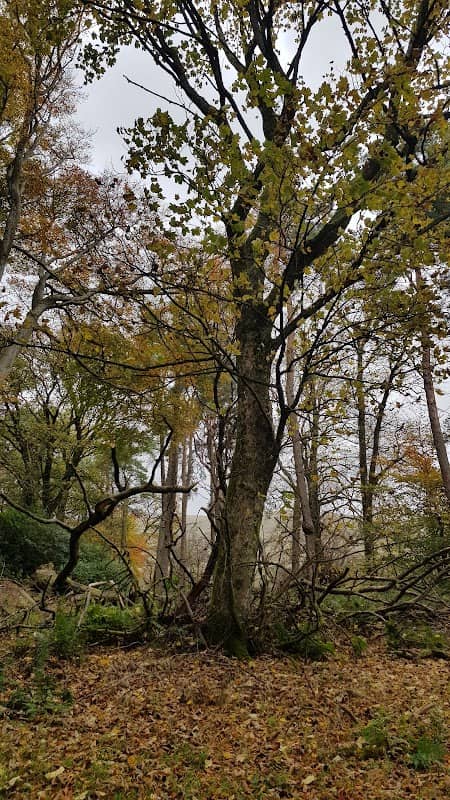 Tintock Park - Image 2
