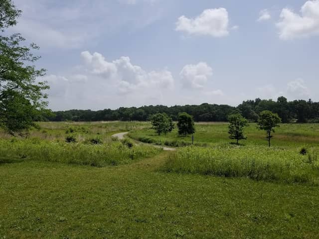 Grassy Ridge Meadow - Image 1