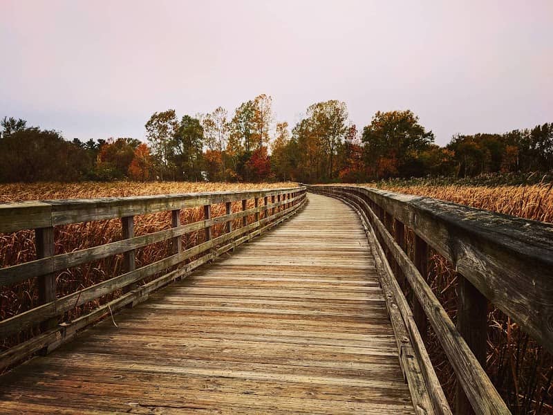 Lake To Lake Trail; Pre-historic Playpit - Image 2