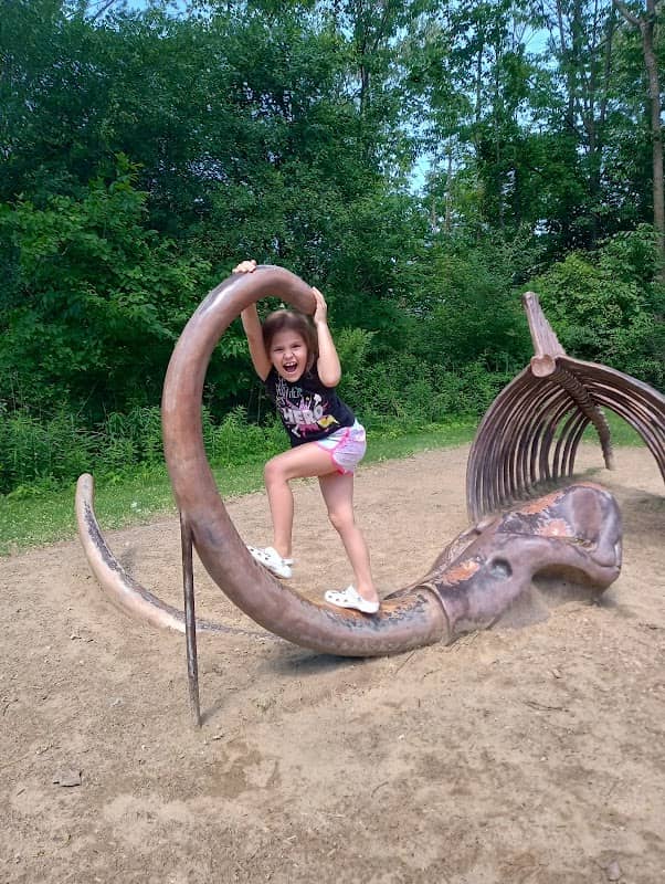 Lake To Lake Trail; Pre-historic Playpit - Image 1