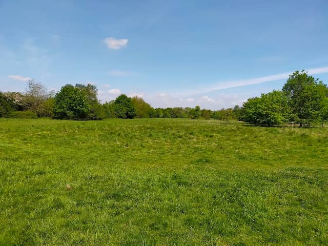 Somersham Nature Reserve - Image 2