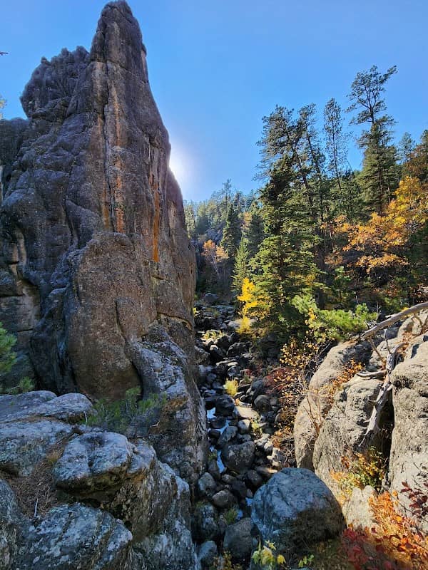 Grizzly Bear Falls - Image 1