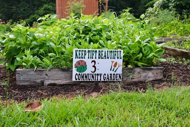 Tifton Community Garden - Image 1