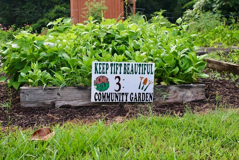 Tifton Community Garden - Image 1
