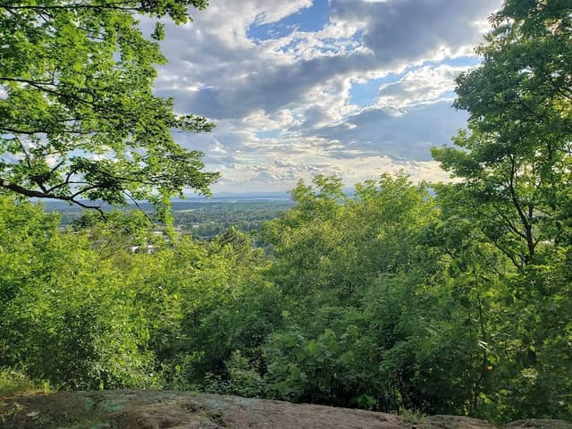 Aldis Hill Park - Image 1