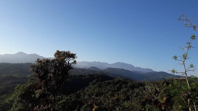 Finca El Rosario - Image 1