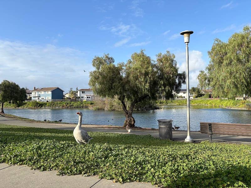 Duck Island - Image 2