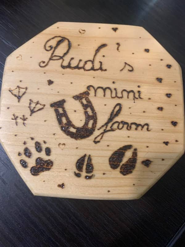 Rudi's mini farm - Image 1