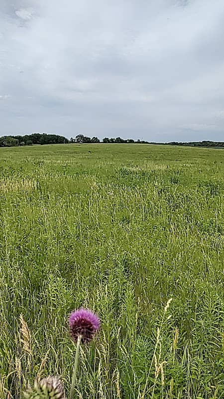 Bloomfield Wildlife Area - Image 2
