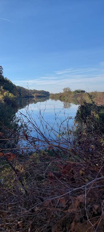 Surčinsko jezero "Tvedenjava" - Image 2
