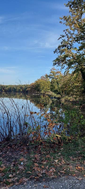 Surčinsko jezero "Tvedenjava" - Image 1