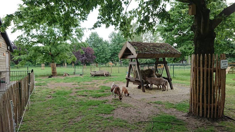 Dierenpark Plein🪿 - Image 2