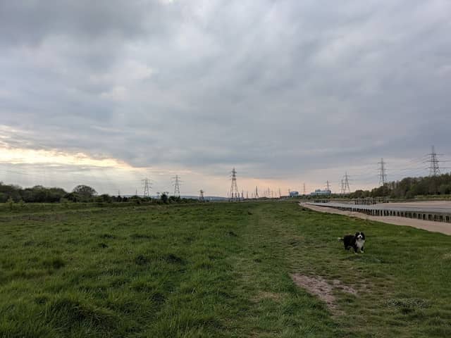 Dee Park - Image 2