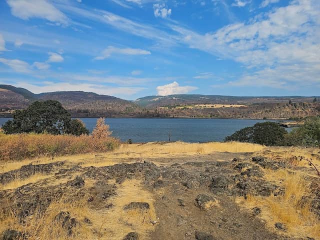 Memaloose State Park campground - Image 1