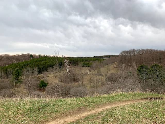 Glen Major Forest Parking Lot - Image 1