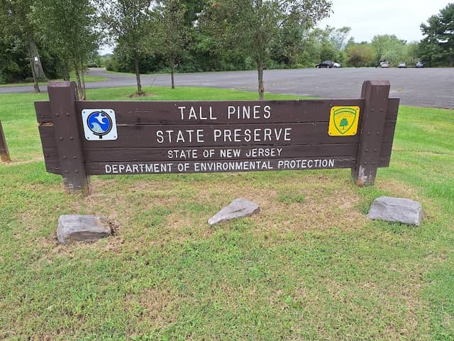 Tall Pines State Preserve - Image 2