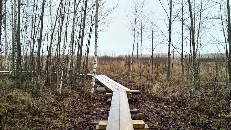Joukonpolku Duckboards - Image 2