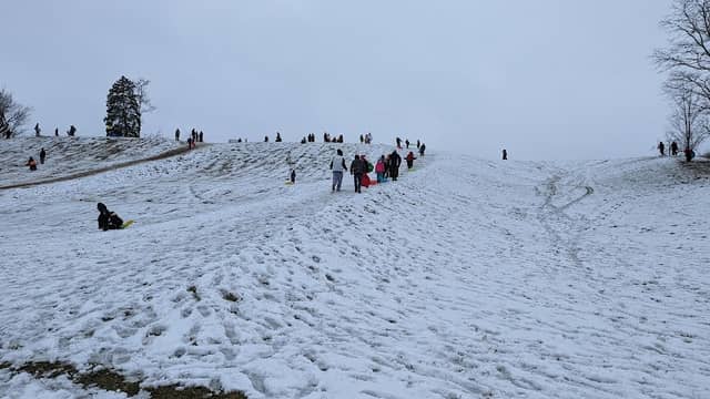 Hummel Park Sledding Hill - Image 2