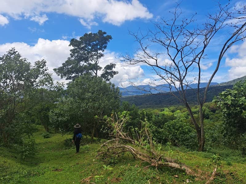 Finca Yulut Thuani - Image 2