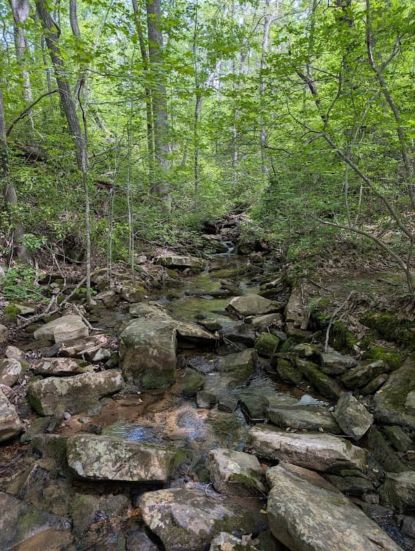 Edward's Point Trailhead - Image 2