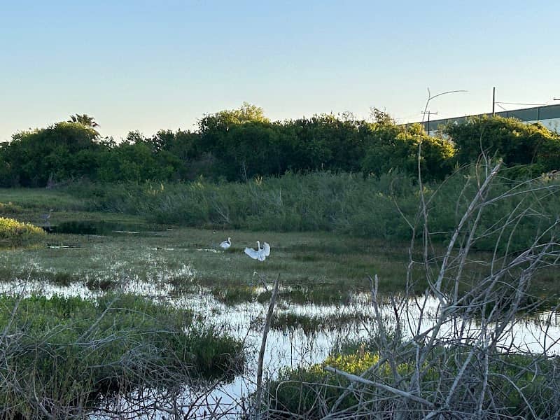 Hike And Bike Trail Conn Brown Harbor / Redfish Bay - Image 1