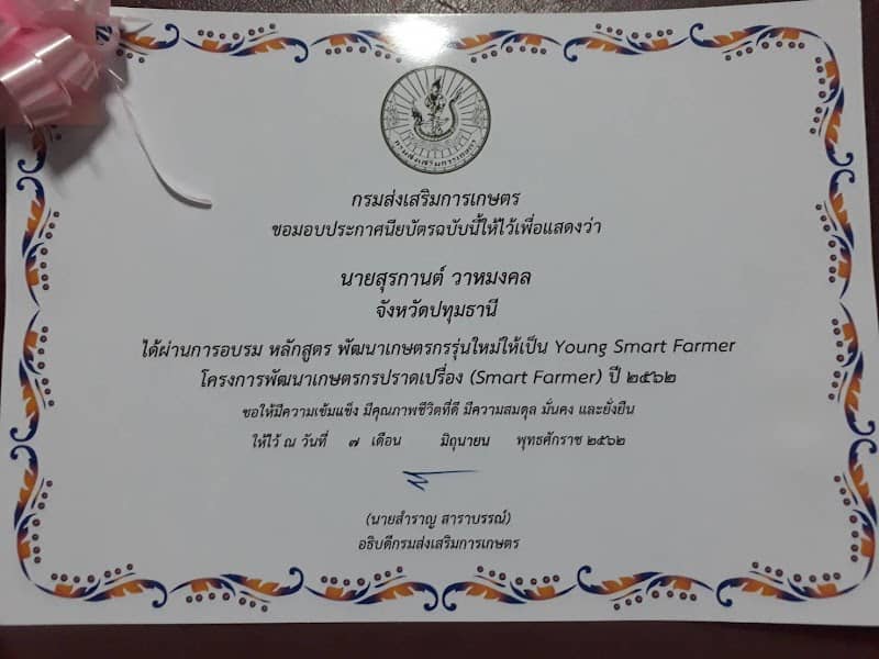 มงคลฟาร์มเห็ด อำเภอลาดหลุมแก้ว จังหวัดปทุมธานี - Image 2
