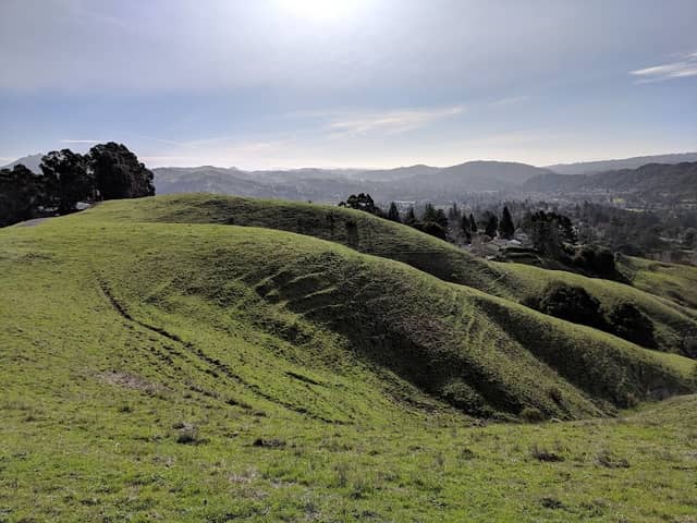 Orinda Oaks Park - Image 1